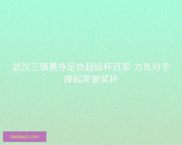武汉三镇勇夺足协超级杯冠军 力克对手捧起荣誉奖杯 武汉三镇勇夺足协超级杯冠军 力克对手捧起荣誉奖杯
